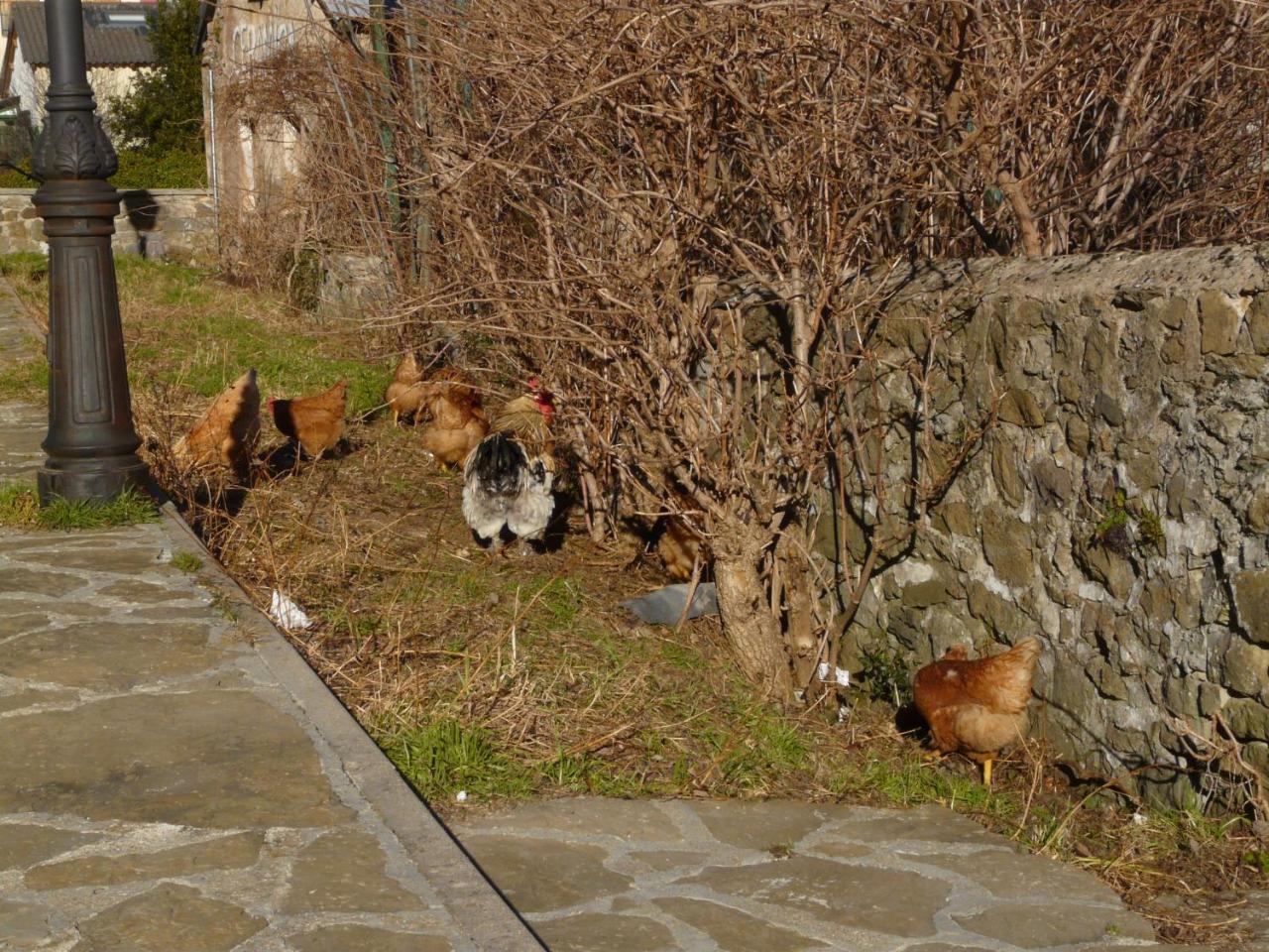 La Gasthof *